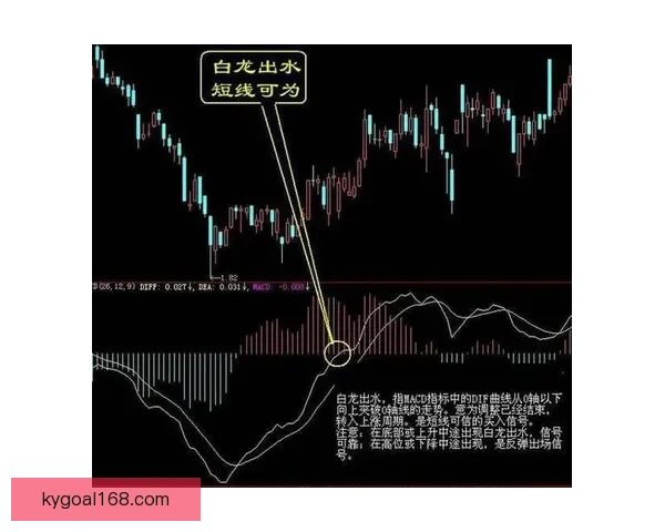 世界杯胜负竞猜攻略解析 轻松把握赛事走势 赢取丰厚奖金